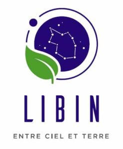 Logo-Libin